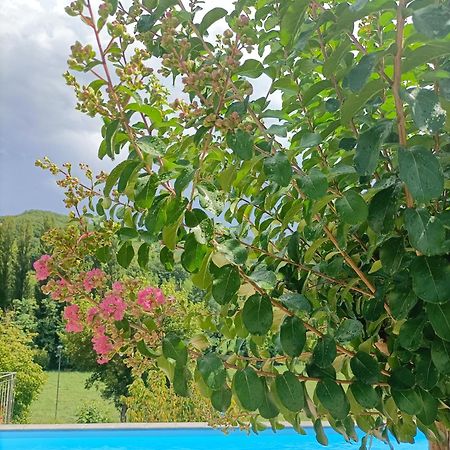 B&B Villa Ginevra ピエトラルンガ エクステリア 写真