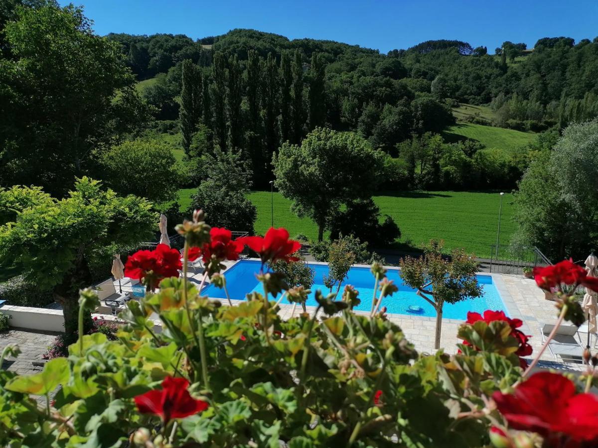 B&B Villa Ginevra ピエトラルンガ エクステリア 写真
