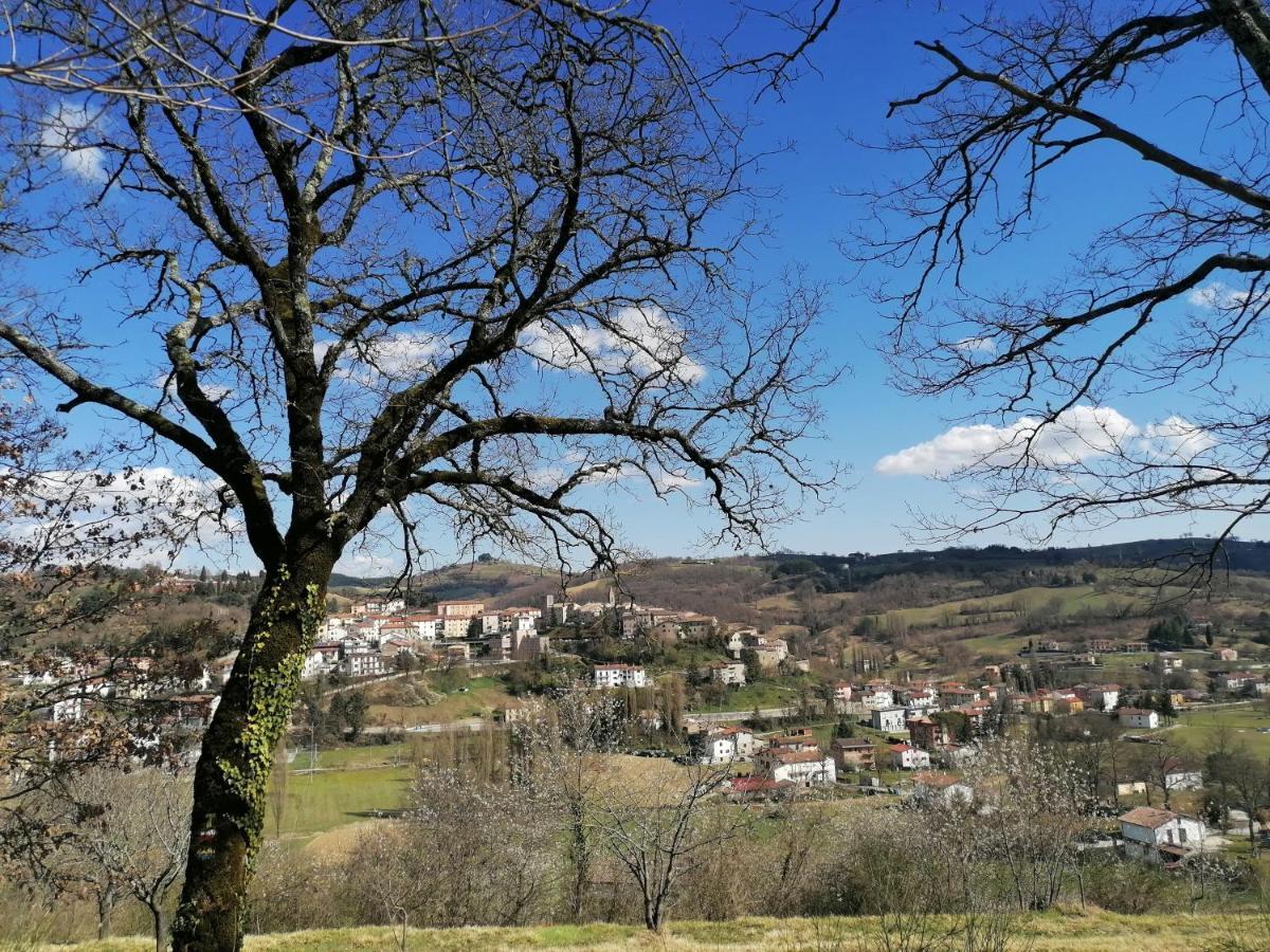 B&B Villa Ginevra ピエトラルンガ エクステリア 写真