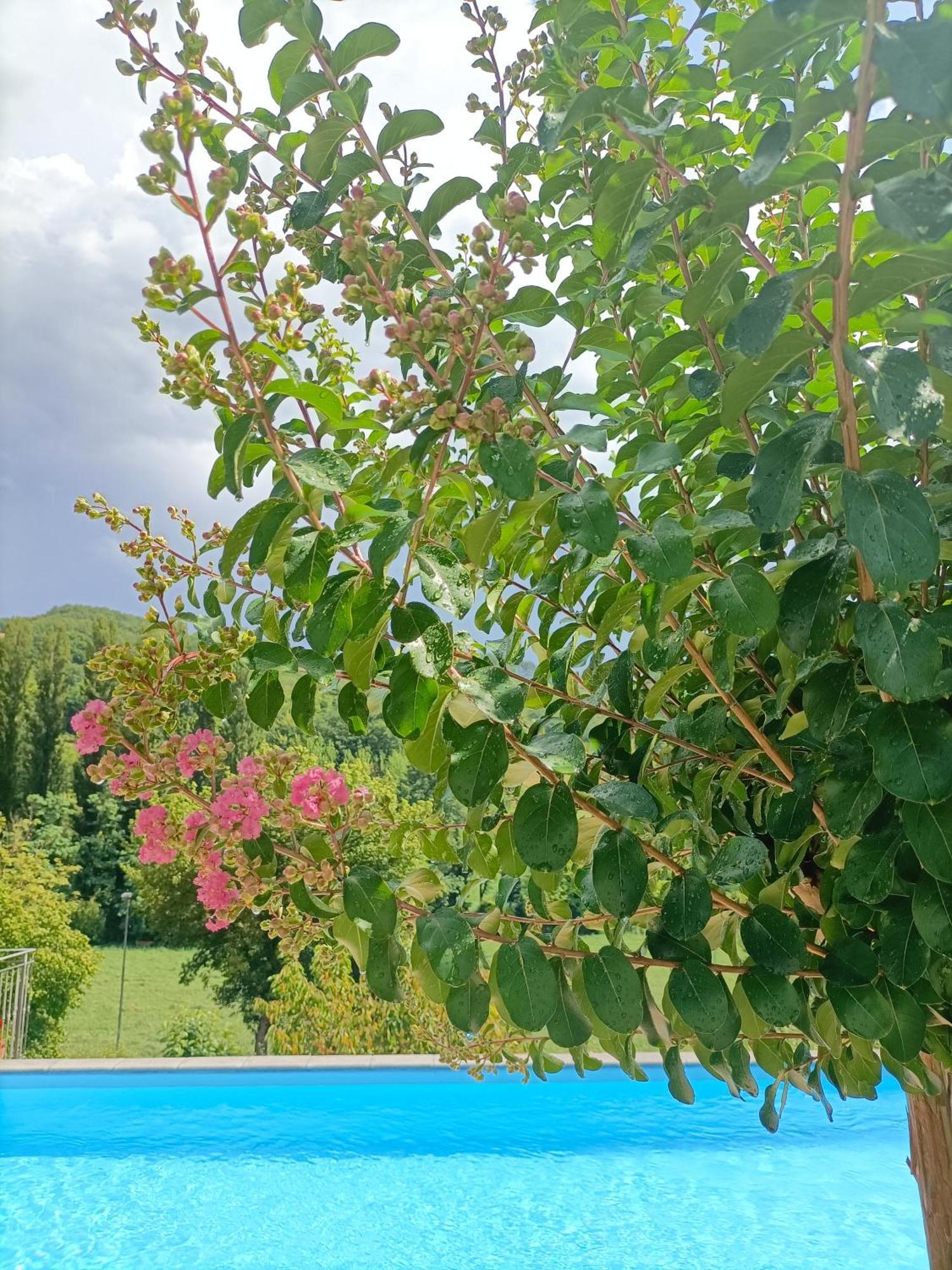 B&B Villa Ginevra ピエトラルンガ エクステリア 写真